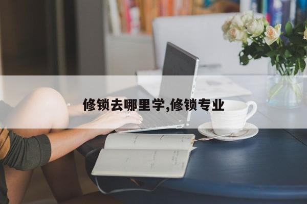 修锁去哪里学,修锁专业 第1张