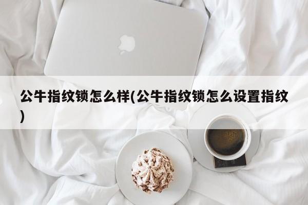 公牛指纹锁怎么样(公牛指纹锁怎么设置指纹)