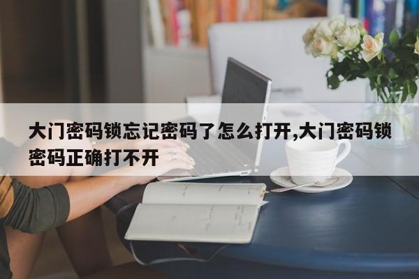 大门密码锁忘记密码了怎么打开,大门密码锁密码正确打不开