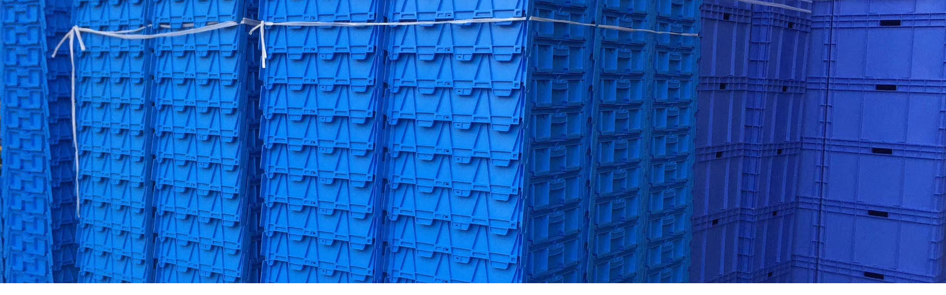 北京91电影（péng）